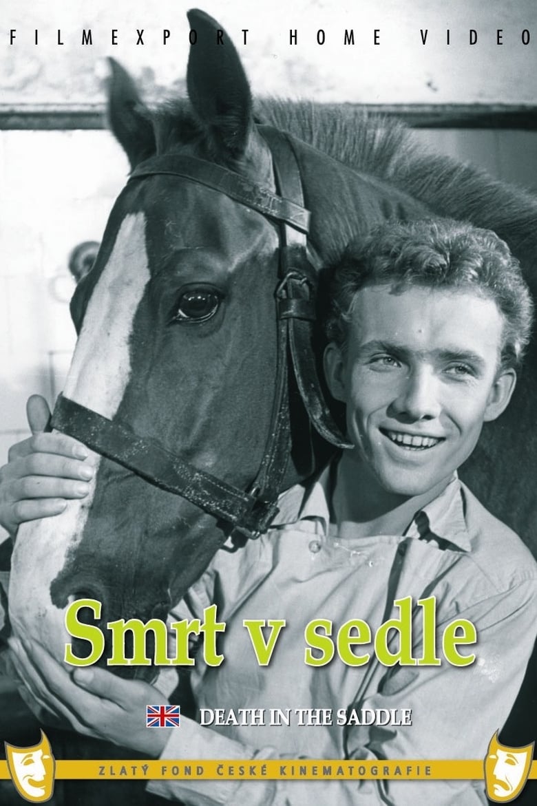 Poster of Death in the Saddle