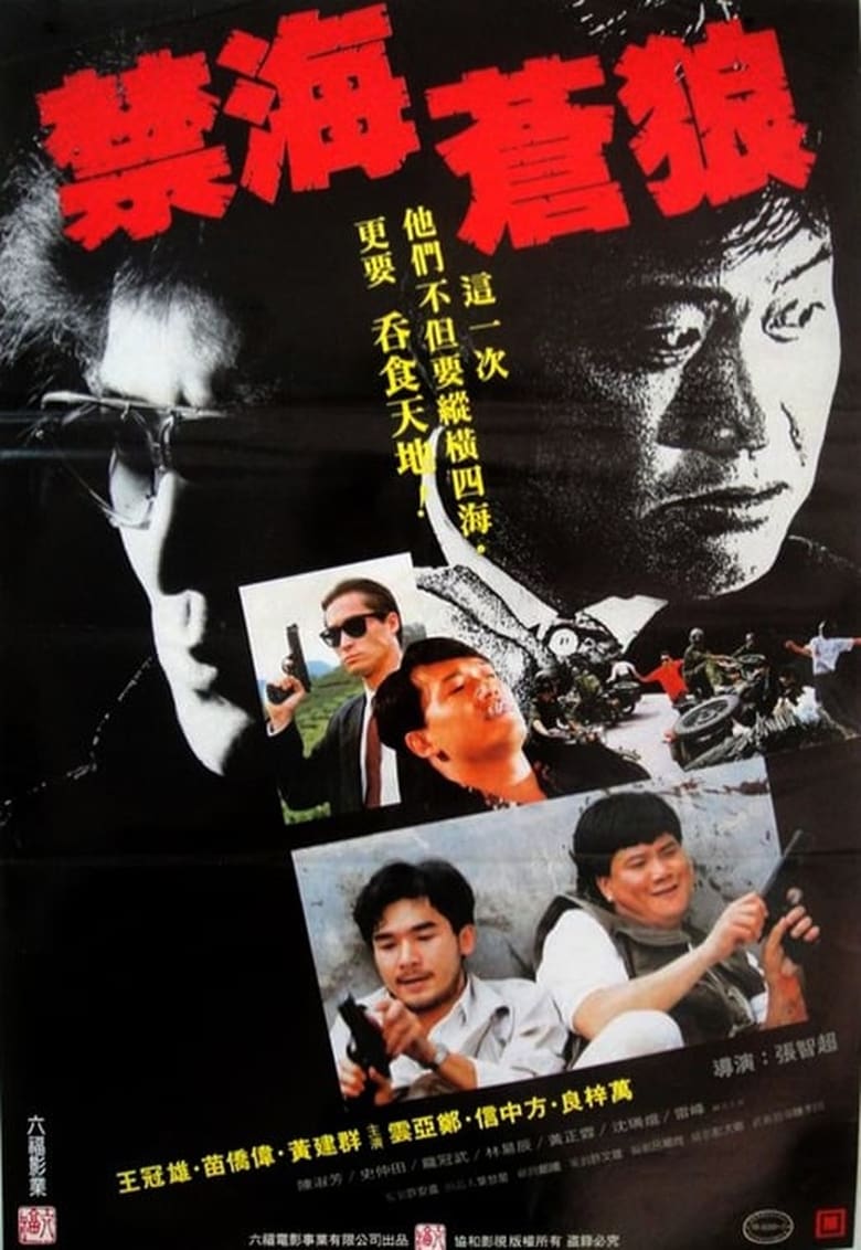 Poster of The Killer from China