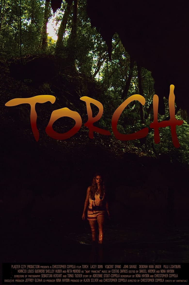 Poster of Torch