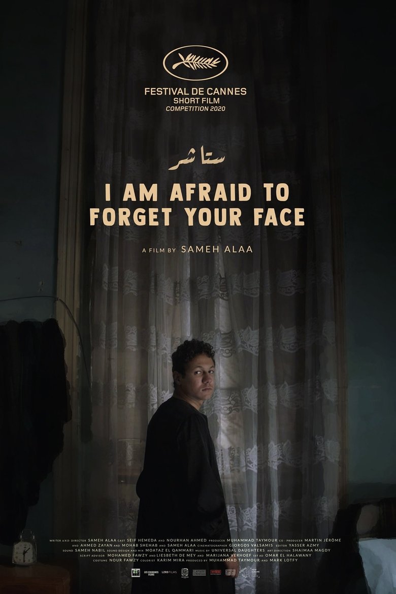 Poster of I Am Afraid to Forget Your Face
