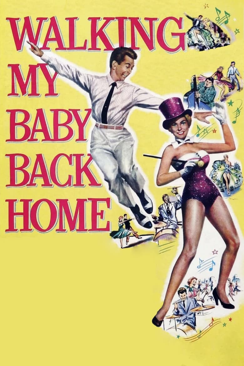 Poster of Walking My Baby Back Home