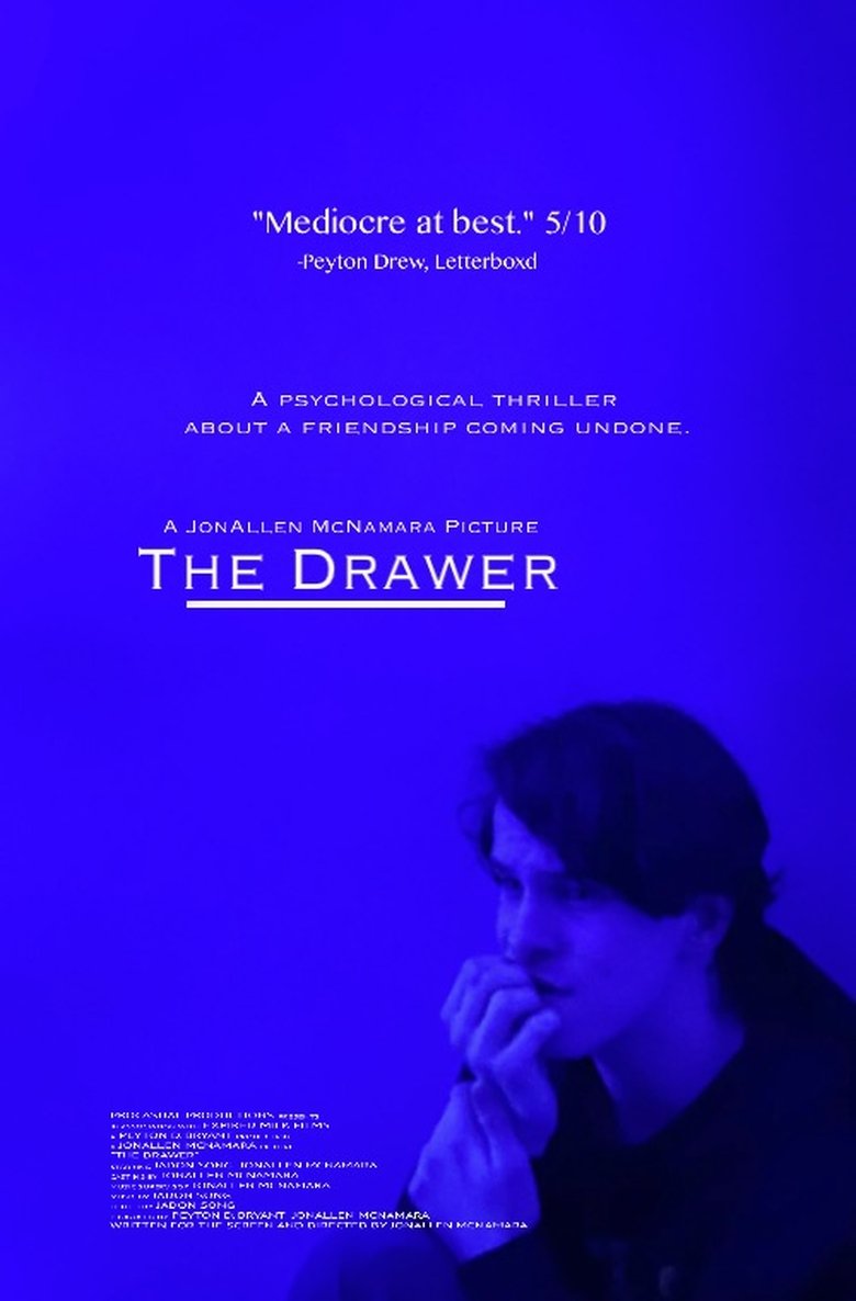 Poster of The Drawer