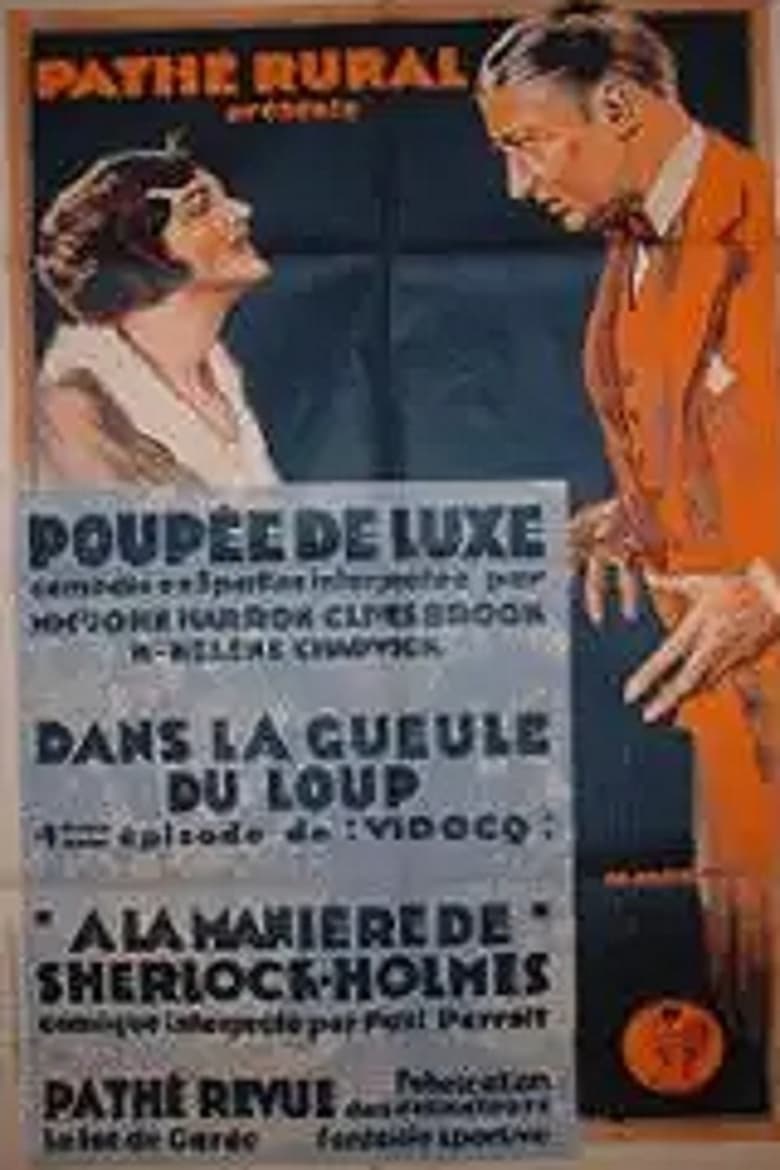 Poster of The Woman Hater