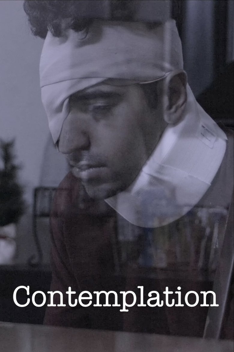 Poster of Contemplation