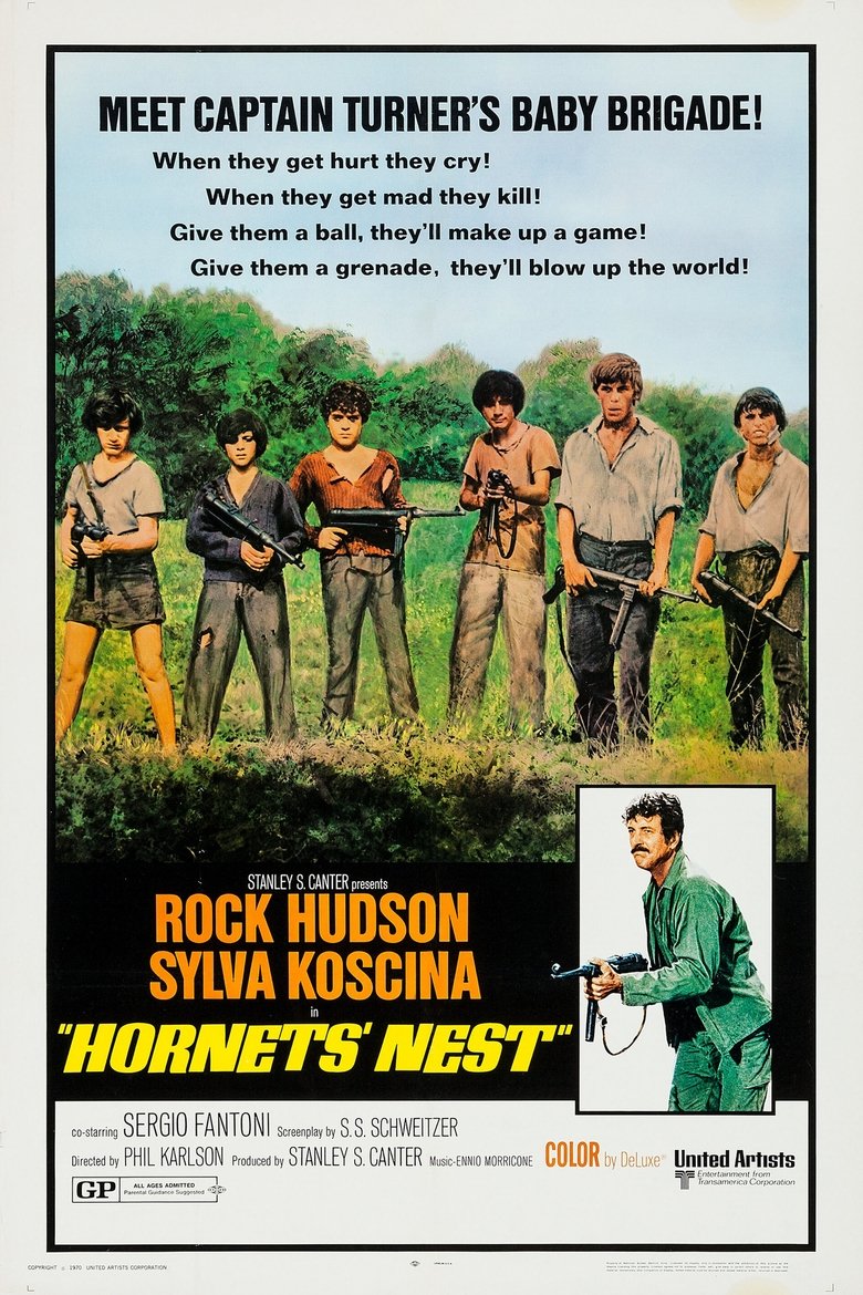 Poster of Hornets' Nest