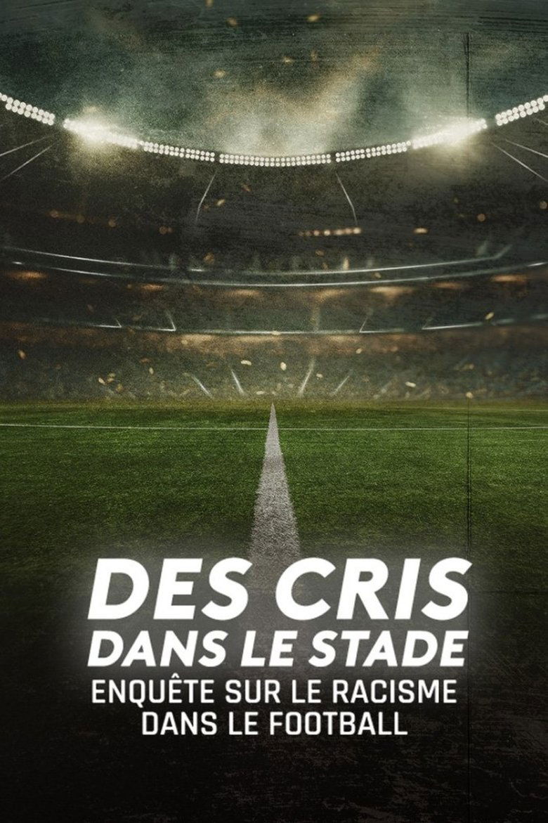 Poster of Des cris dans le stade, enquête sur le racisme dans le football