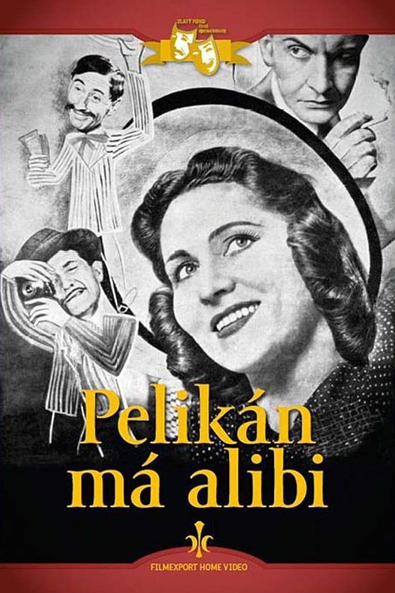 Poster of Pelikán má alibi