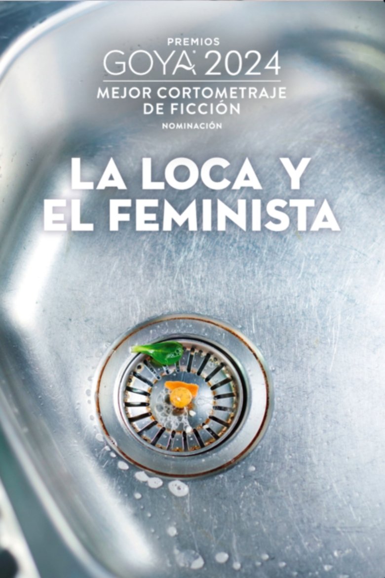 Poster of The madwoman and the feminist