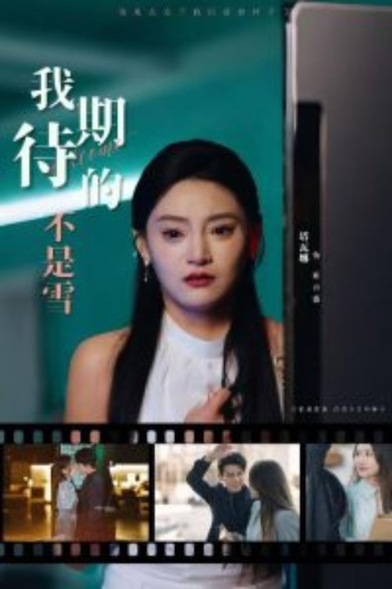 Poster of 我期待的不是雪