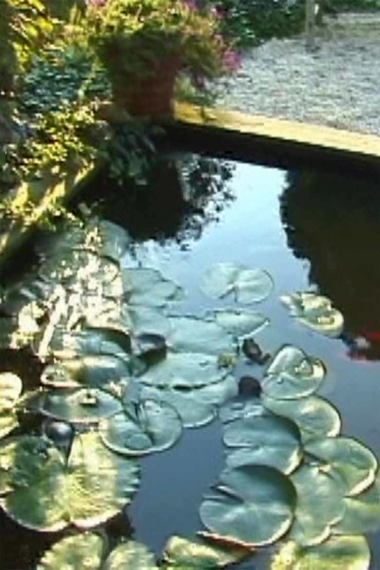 Poster of Lotus Song 2