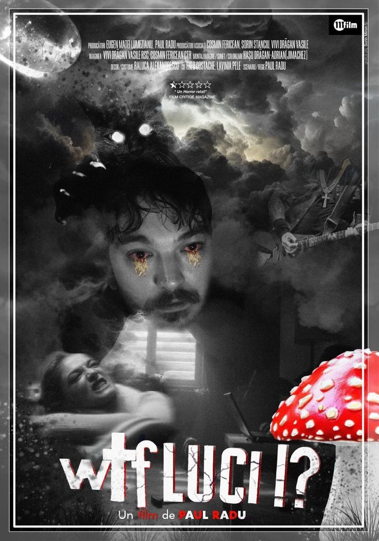 Poster of WTF LUCI!