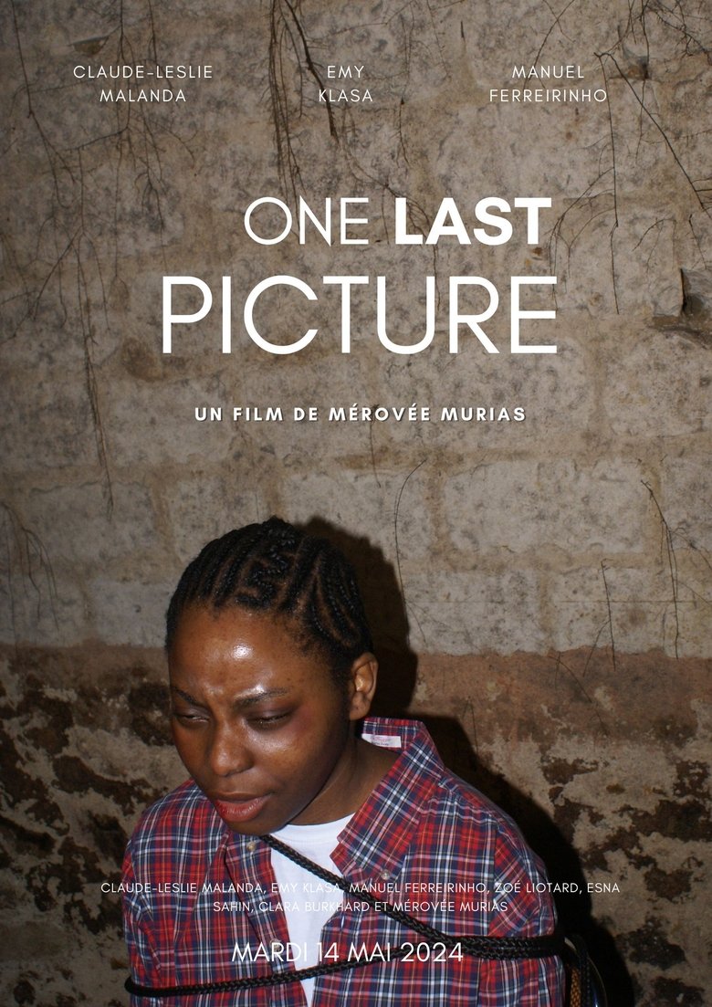 Poster of One Last Picture
