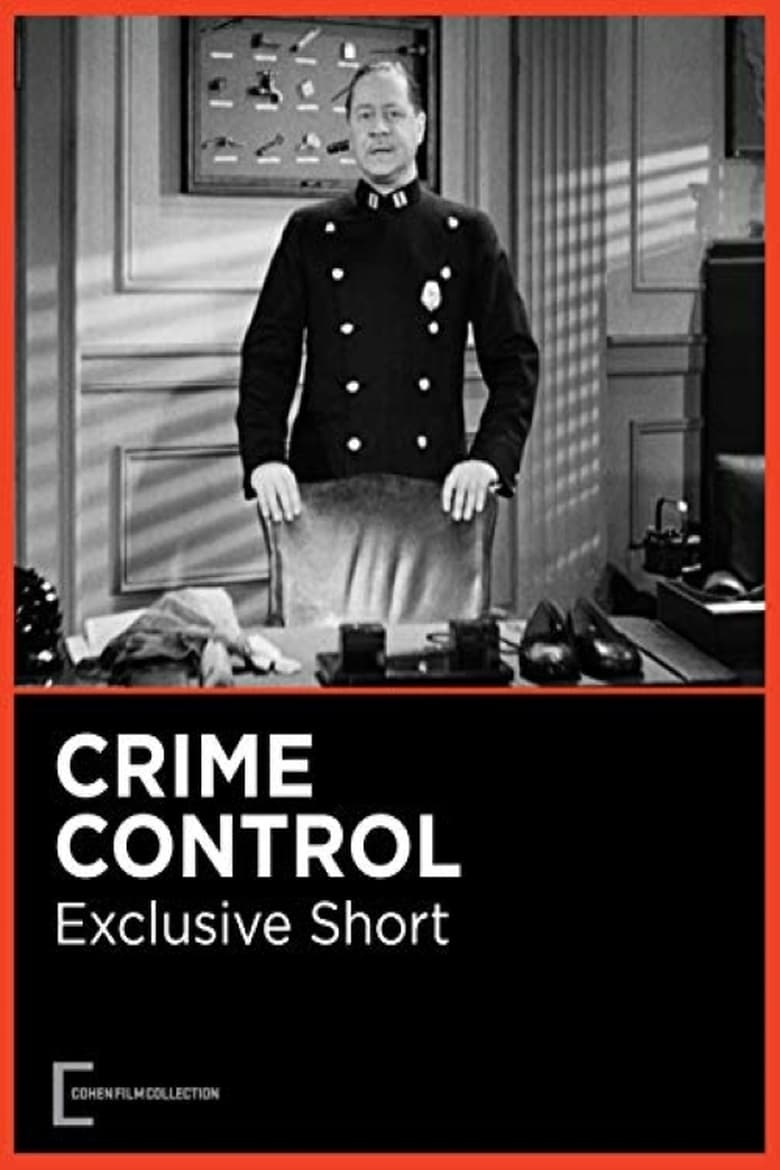 Poster of Crime Control