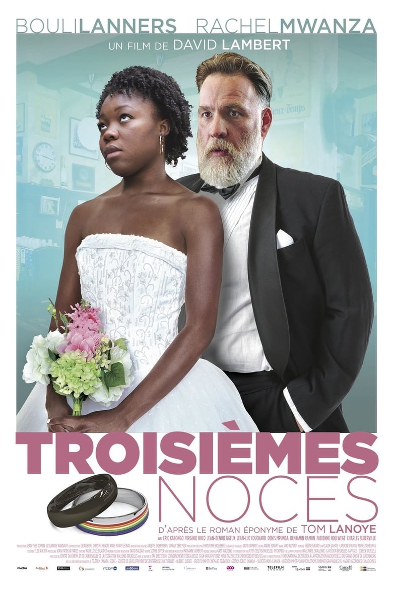 Poster of Third Wedding