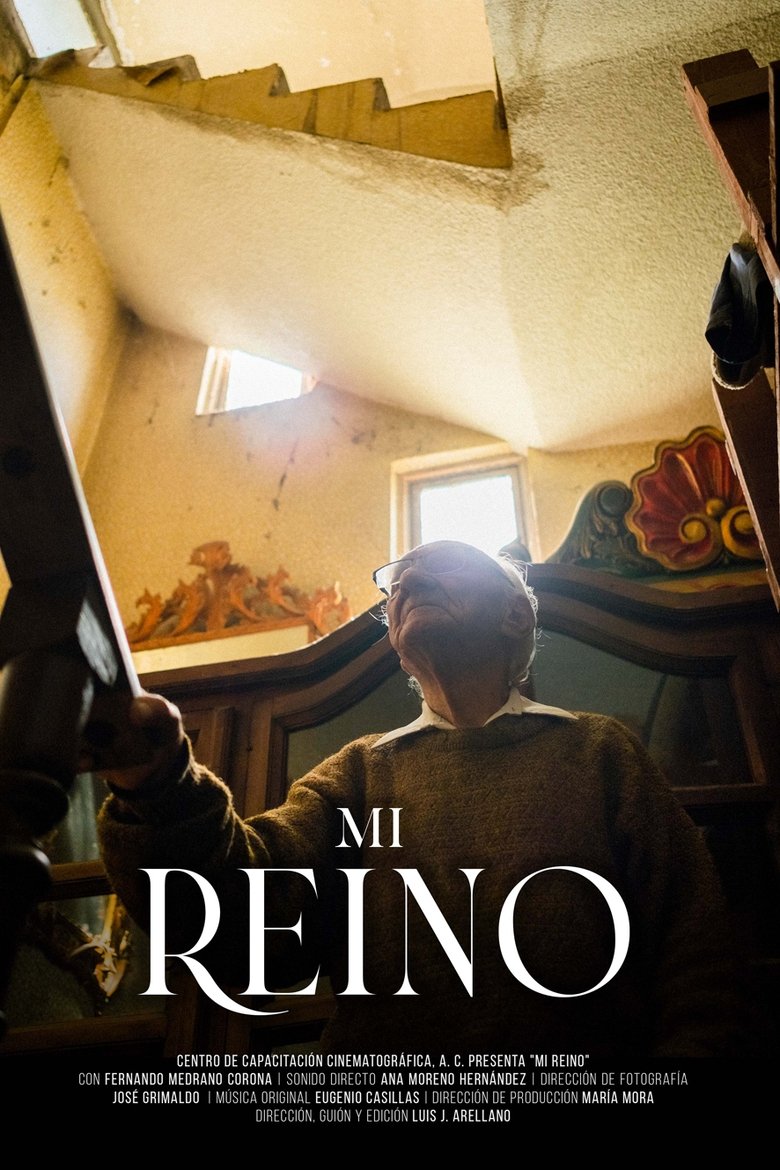 Poster of Mi reino