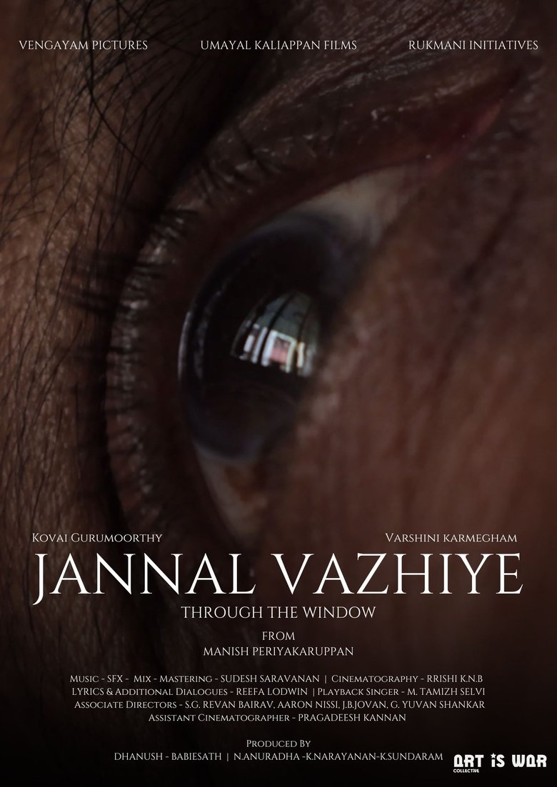 Poster of Through the window