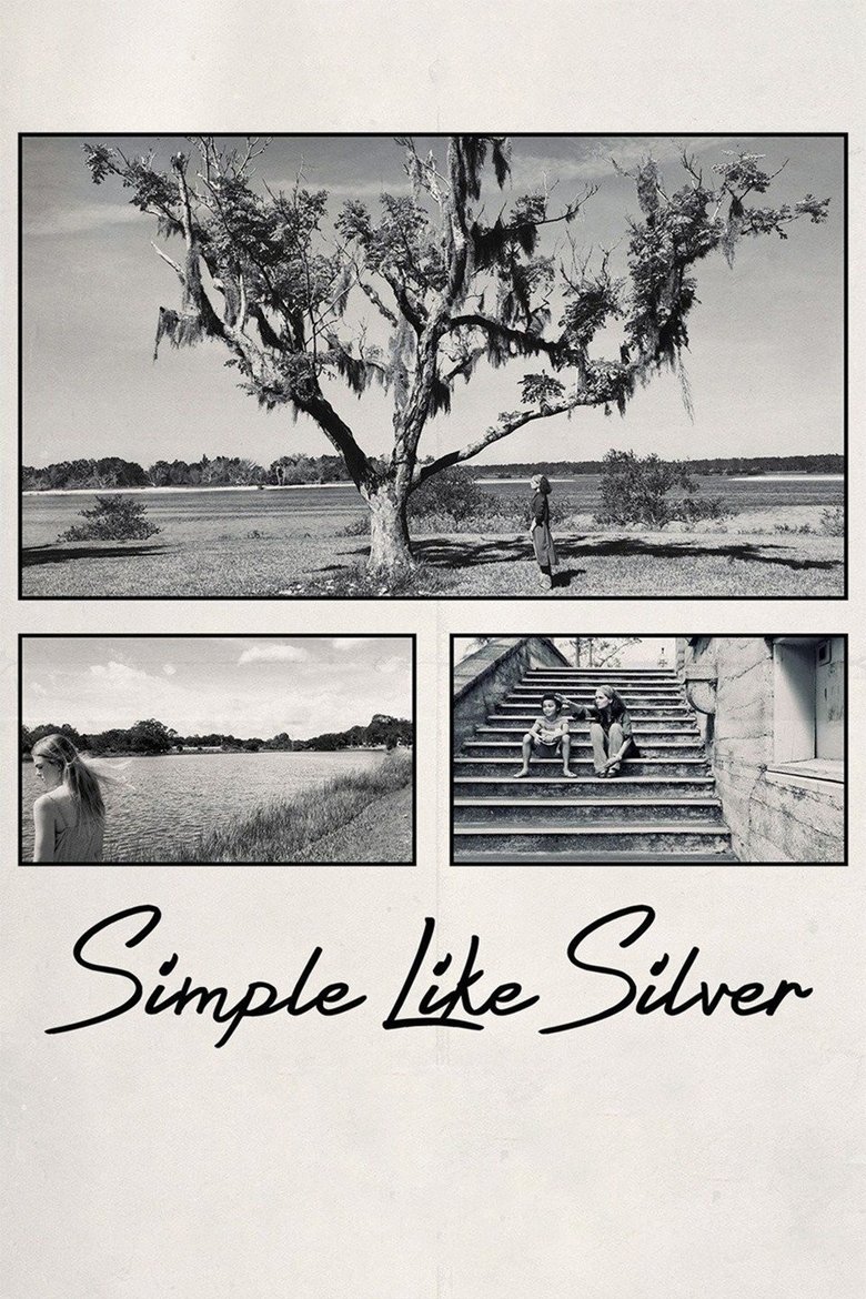 Poster of Simple Like Silver