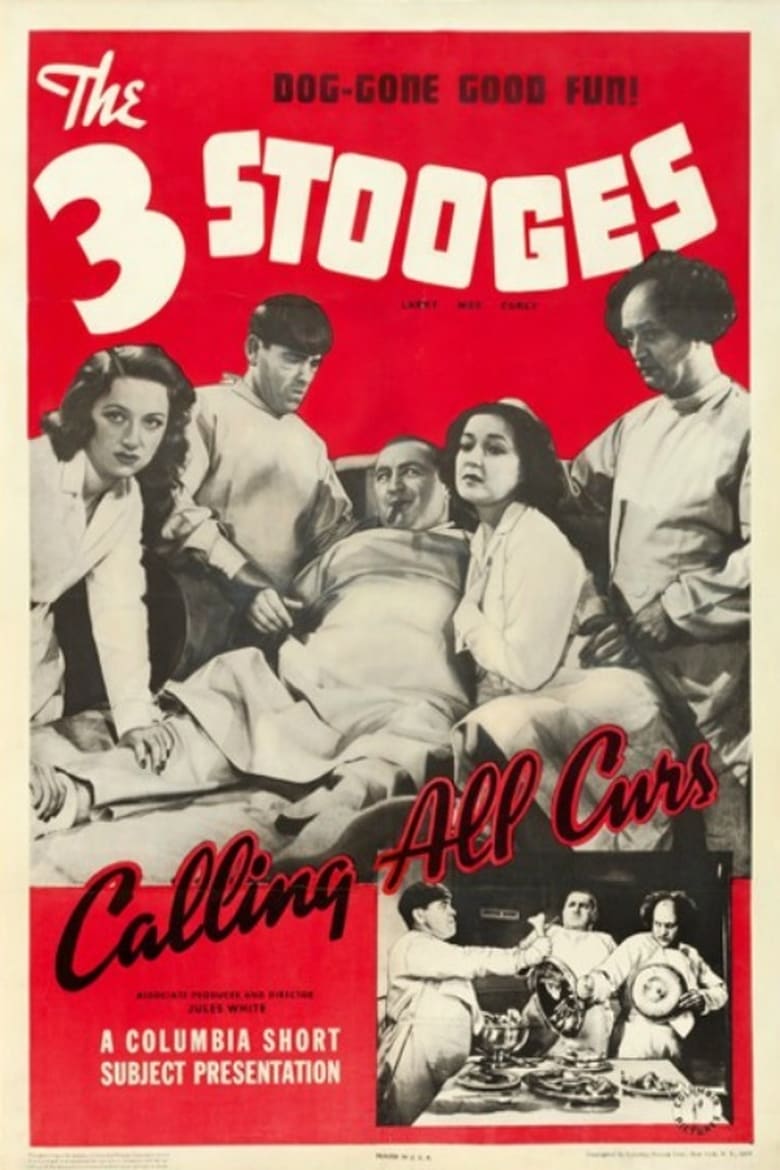 Poster of Calling All Curs
