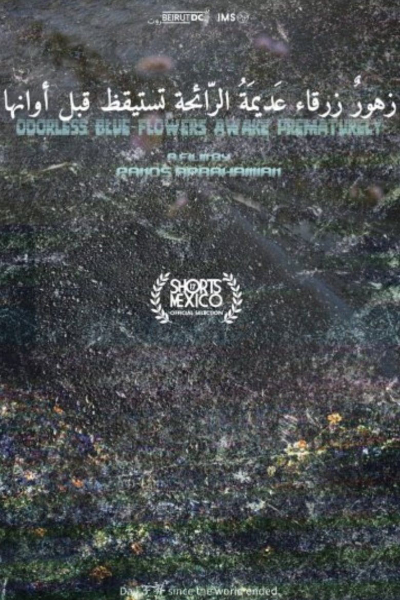 Poster of Odorless Blue Flowers Awake Prematurely
