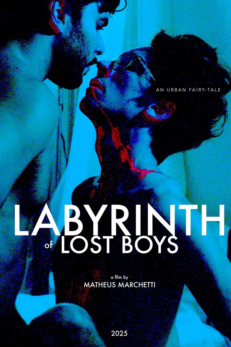 Poster of Labyrinth of Lost Boys