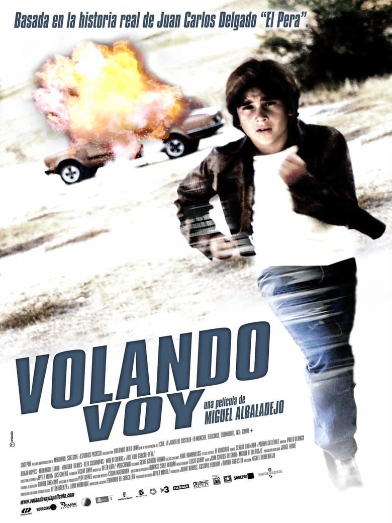 Poster of Volando voy