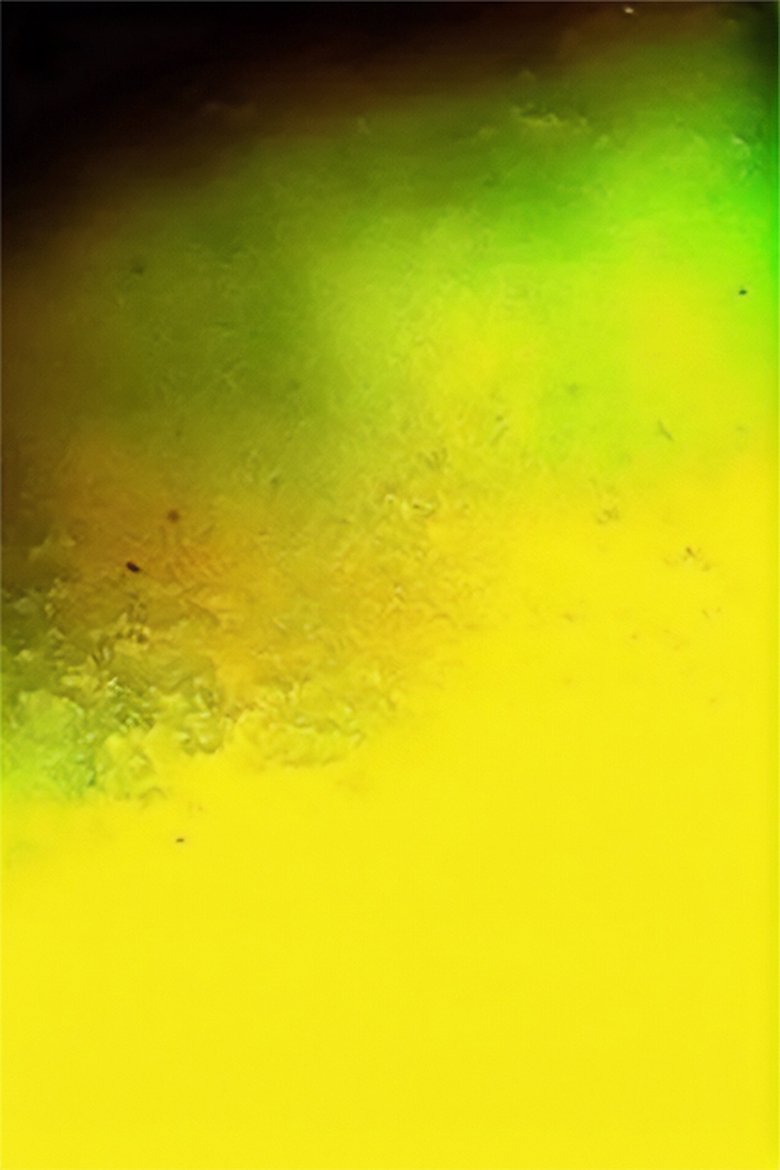 Poster of Translation Series