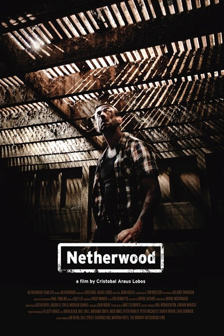 Poster of Netherwood