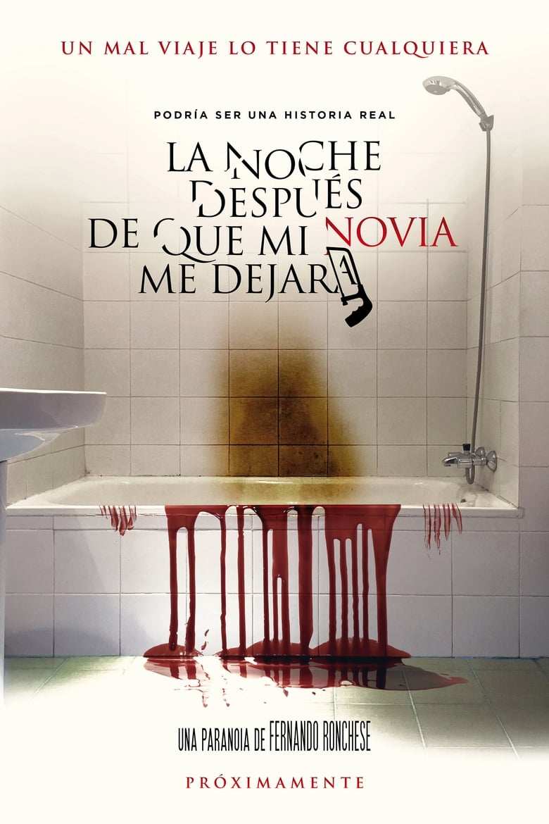 Poster of La noche después de que mi novia me dejara