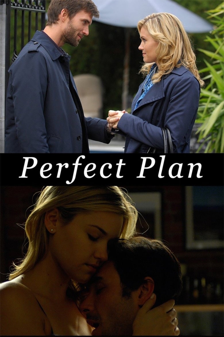 Poster of Perfect Plan