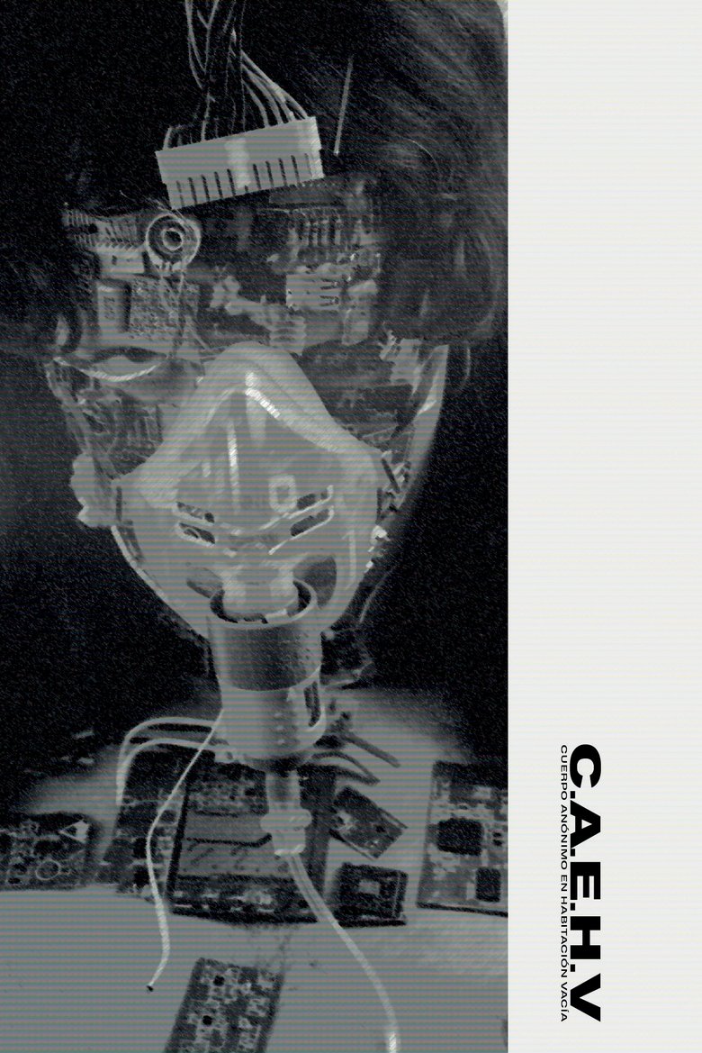 Poster of Anonymous Body in Empty Room