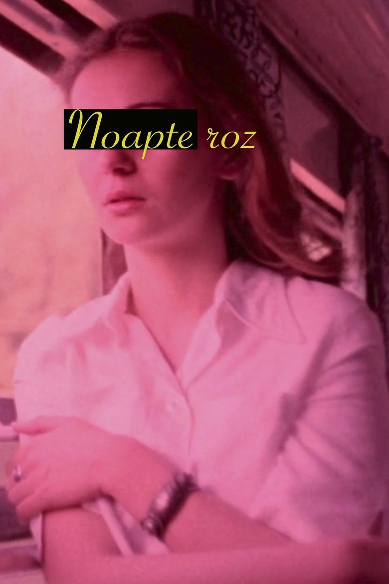 Poster of Noapte roz