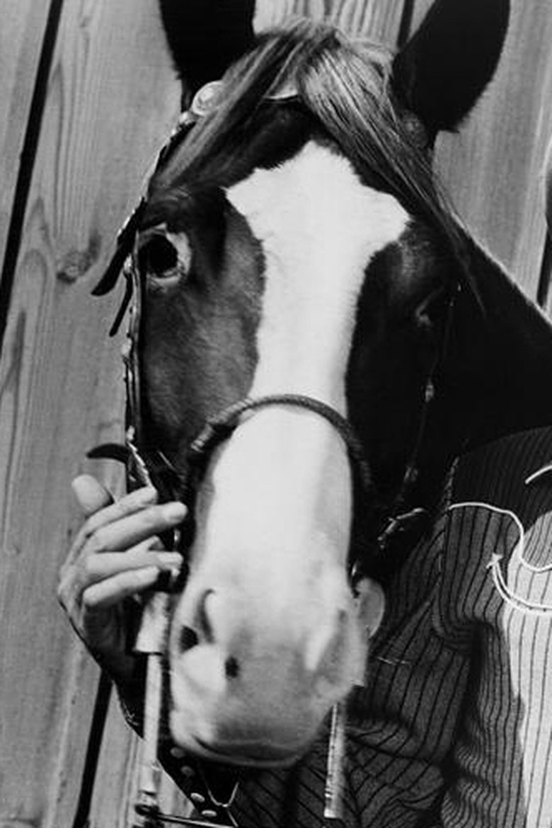 Portrait of Champion