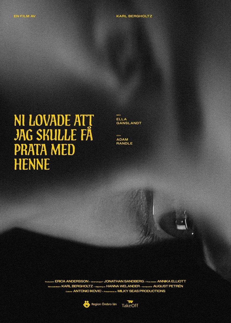 Poster of I just want to hear her voice