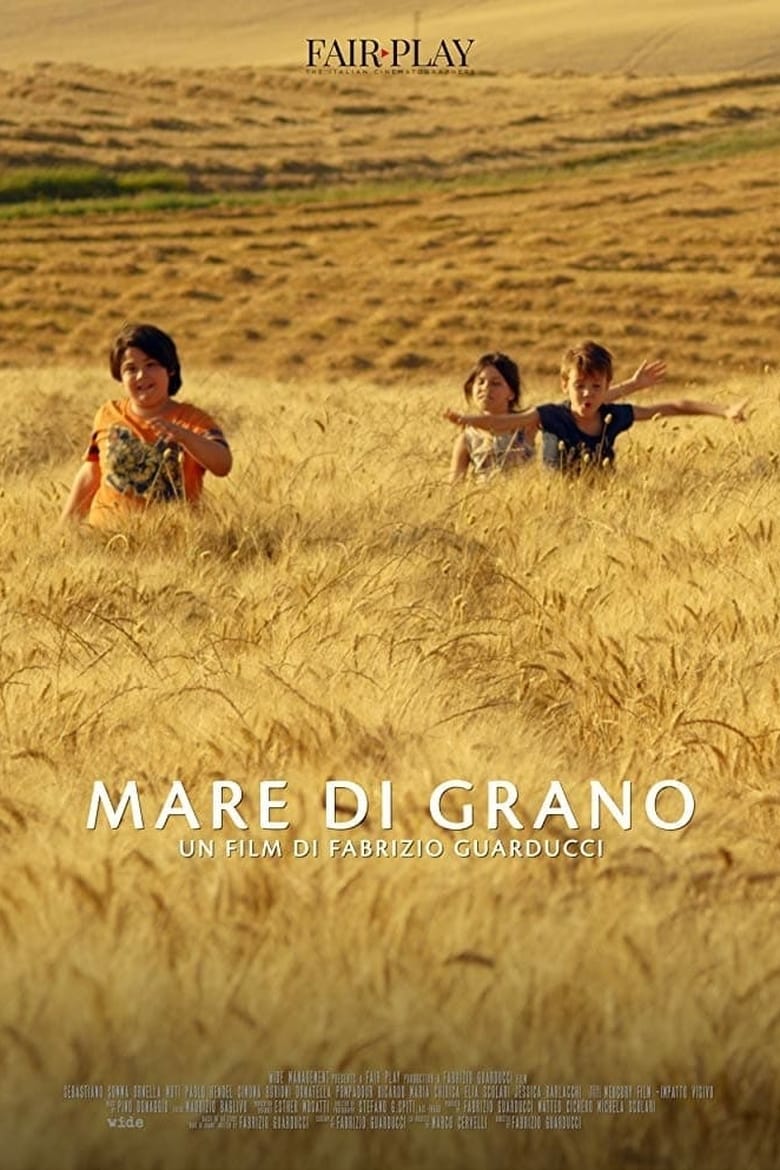 Poster of Mare di grano