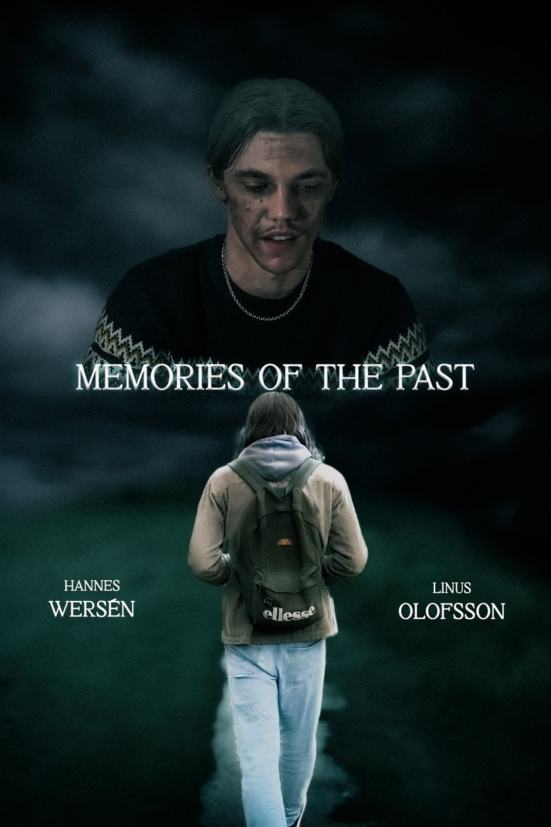 Poster of Memories of the Past