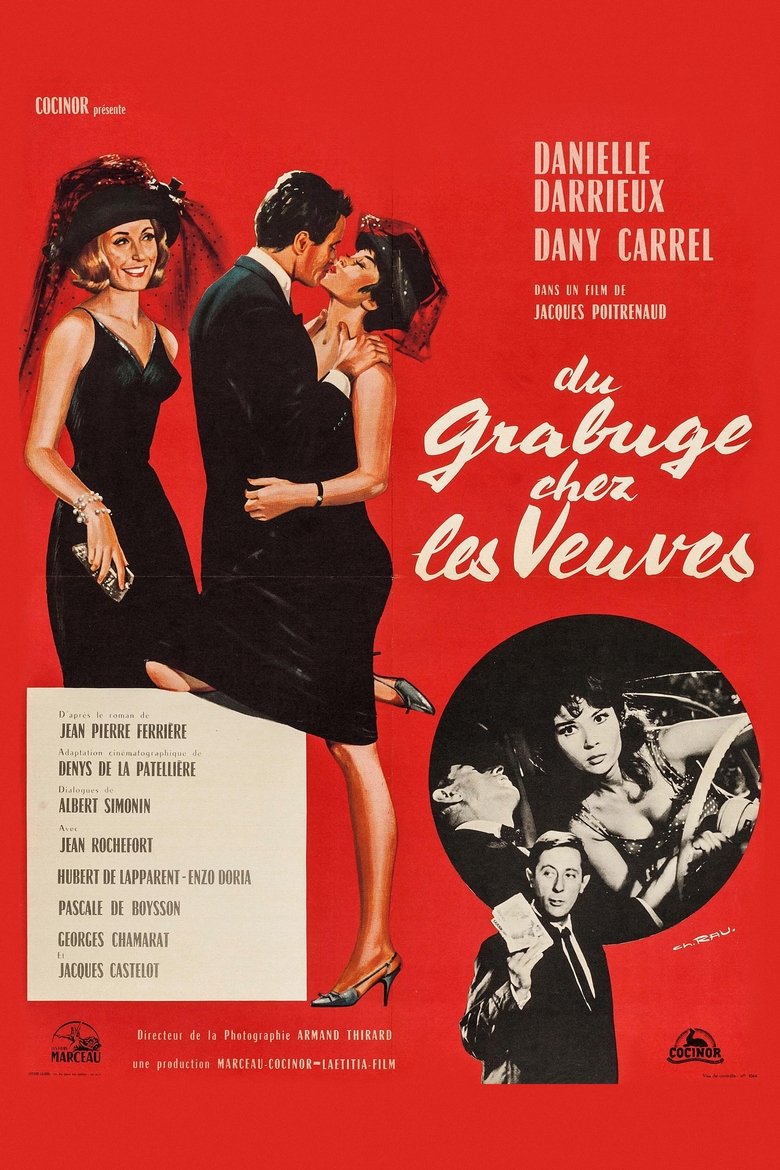 Poster of Trouble Among Widows