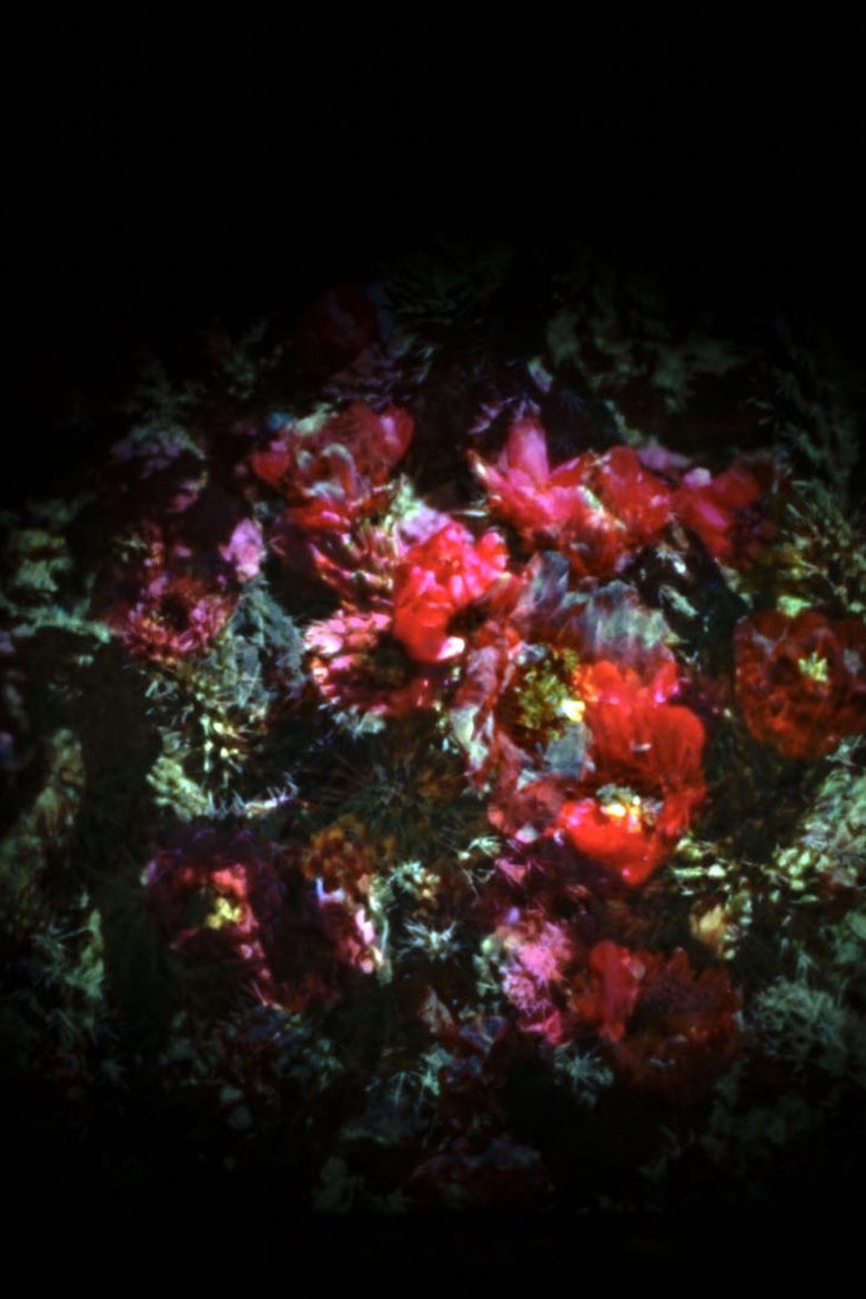 Poster of Iris
