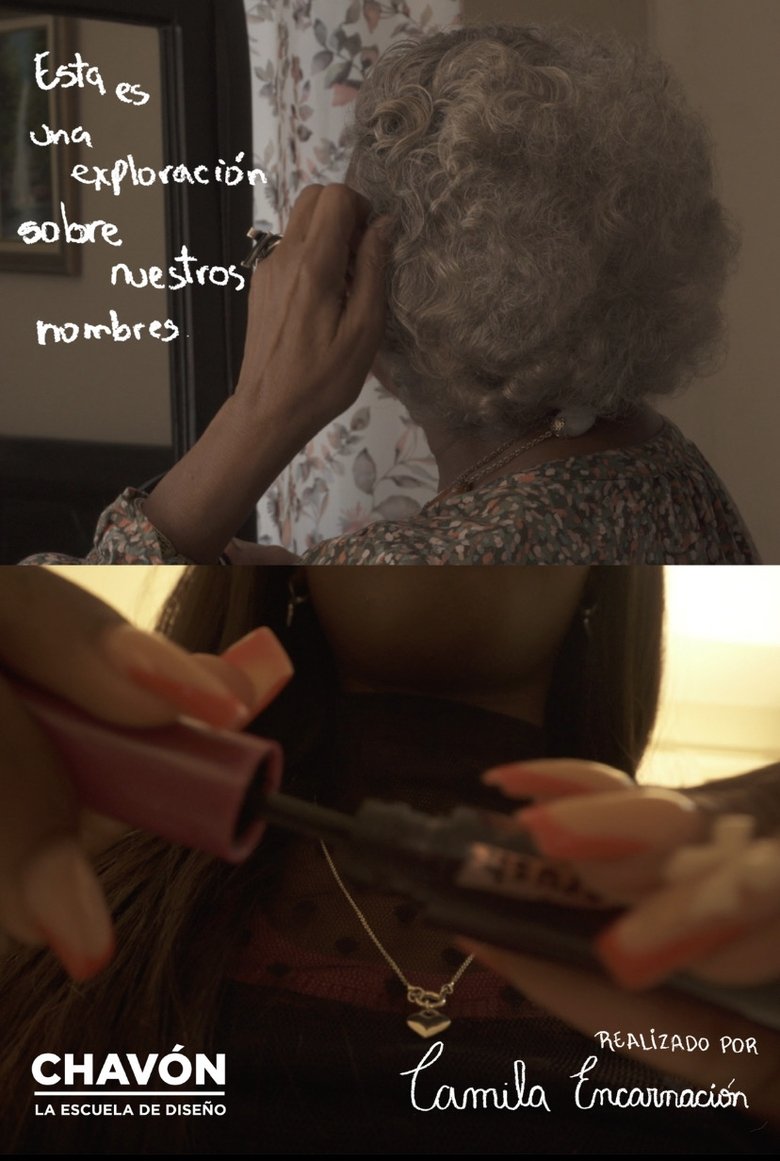 Poster of Una exploración sobre nuestros nombres
