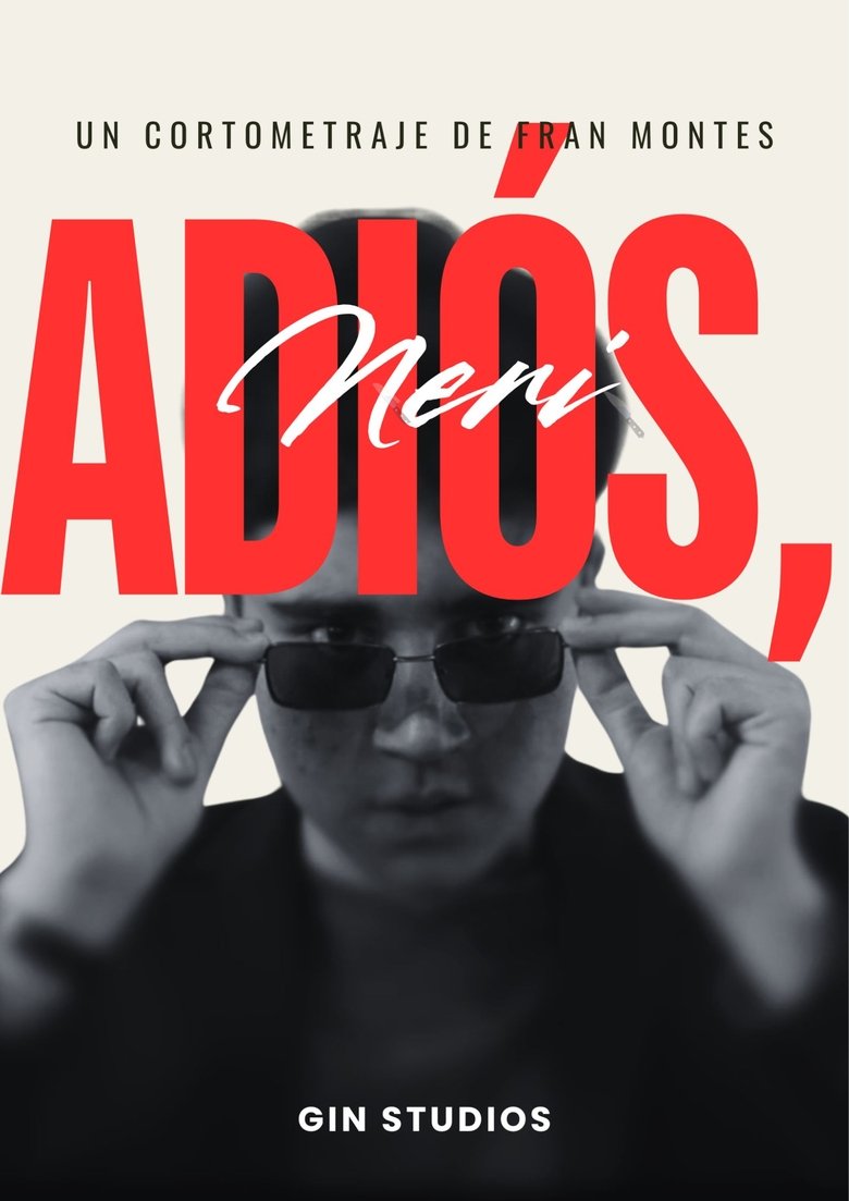 Poster of Adiós, Neri