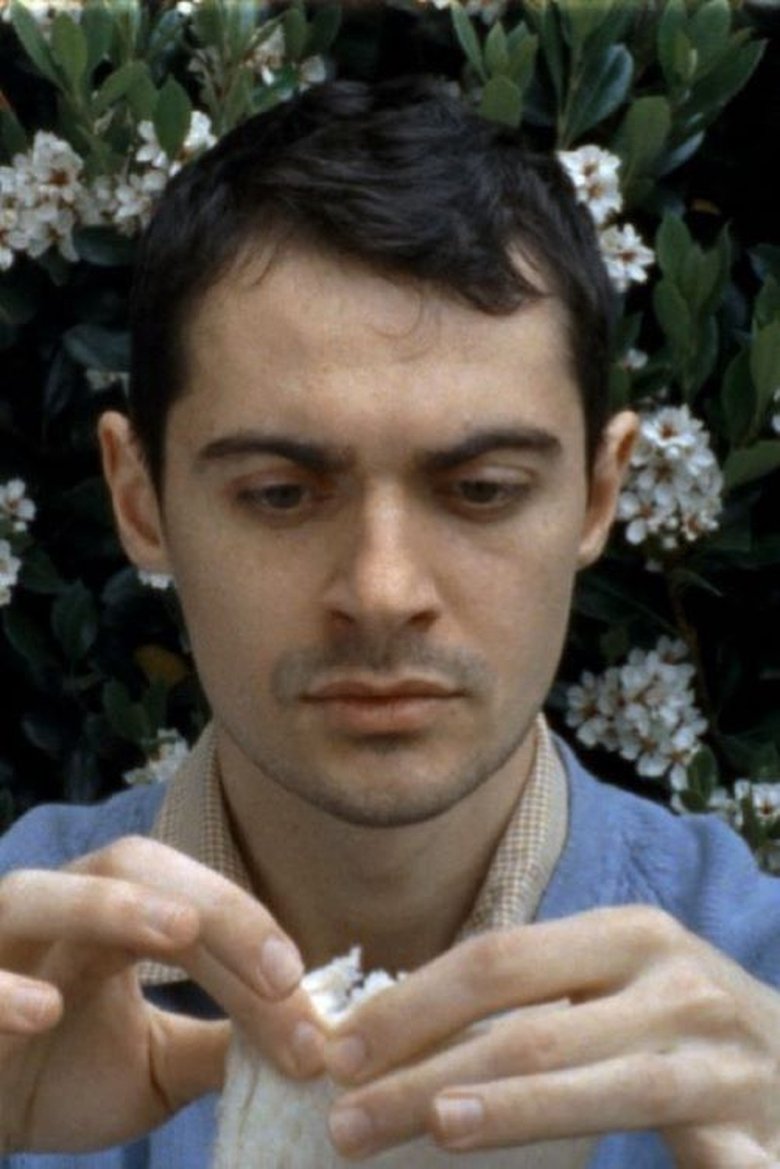 Poster of Andrei