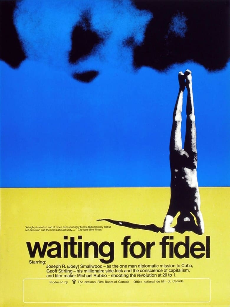 Poster of Waiting for Fidel