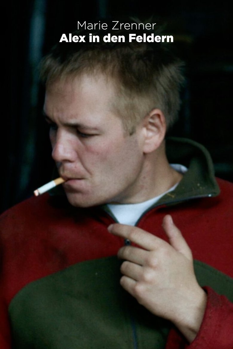 Poster of Alex in the Firlds