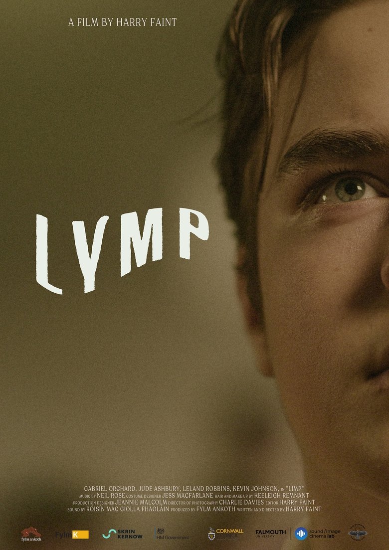 Poster of Limp