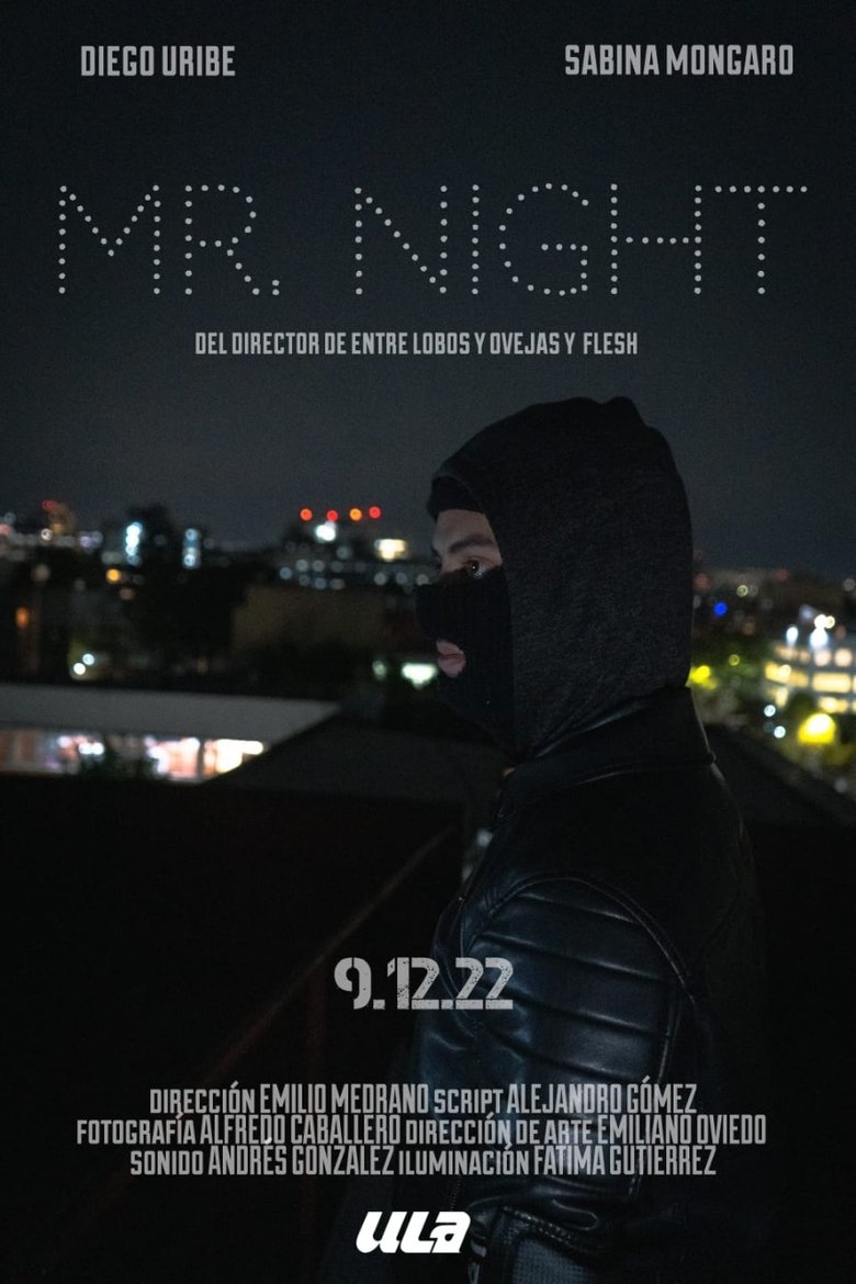 Poster of MR. NIGHT