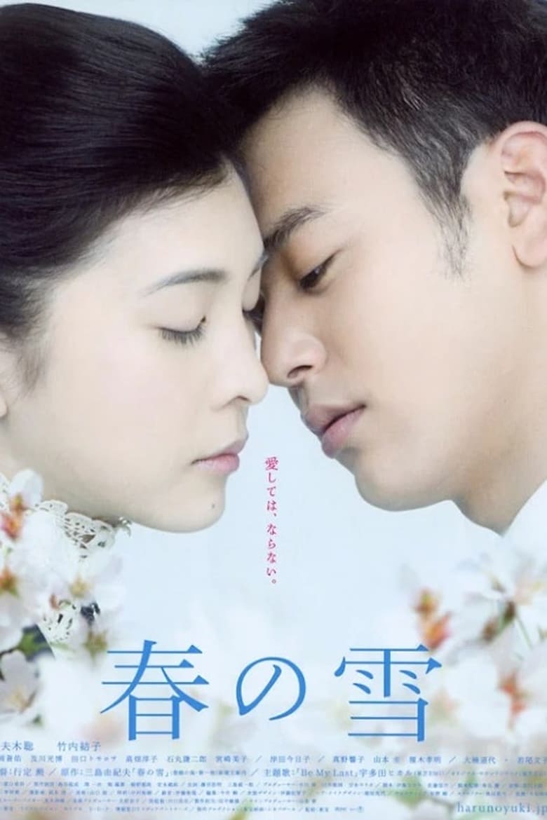 Poster of Spring Snow