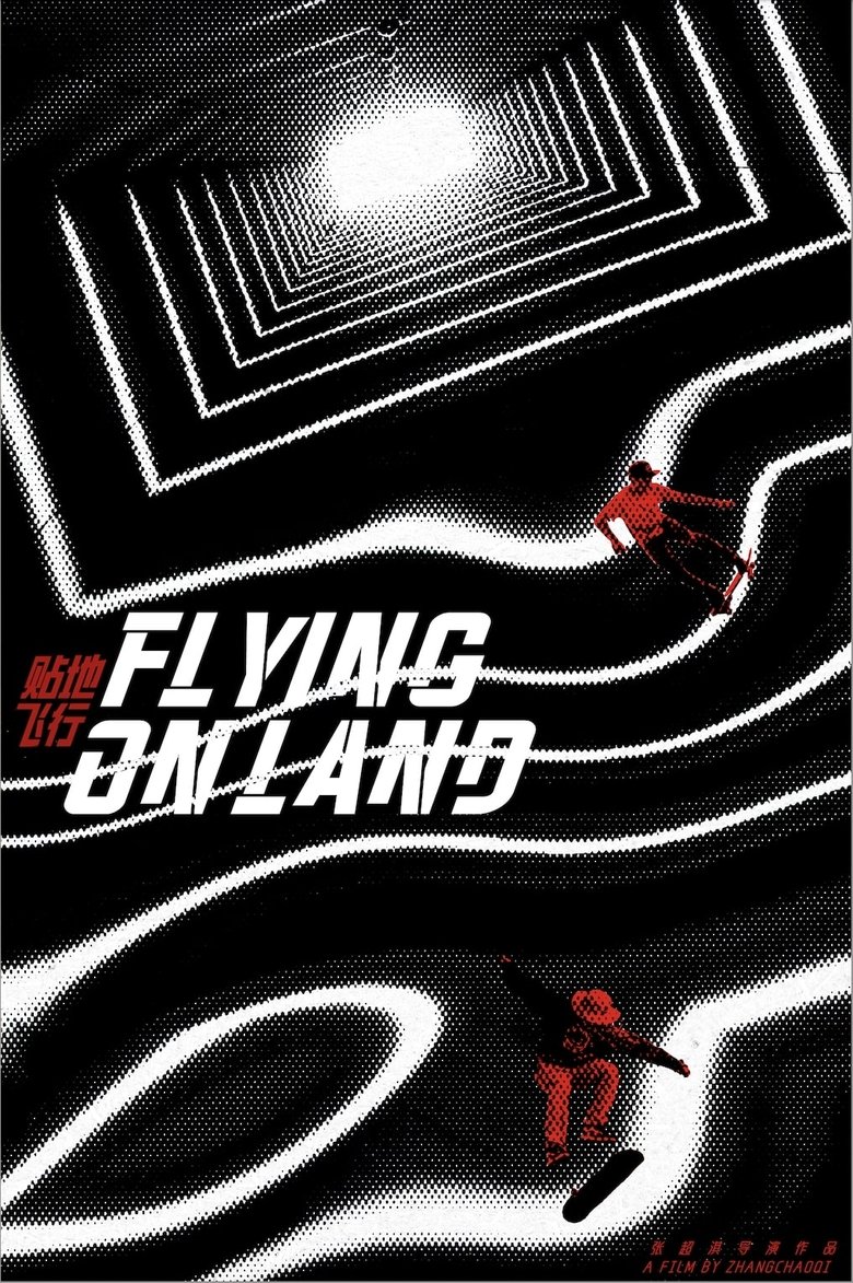 Poster of Flying On Land