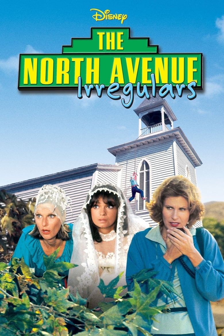 Poster of The North Avenue Irregulars