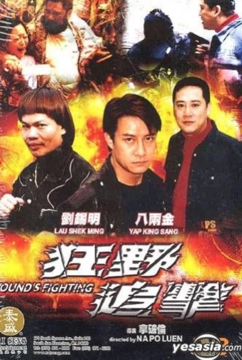 Poster of Wound's Fighting