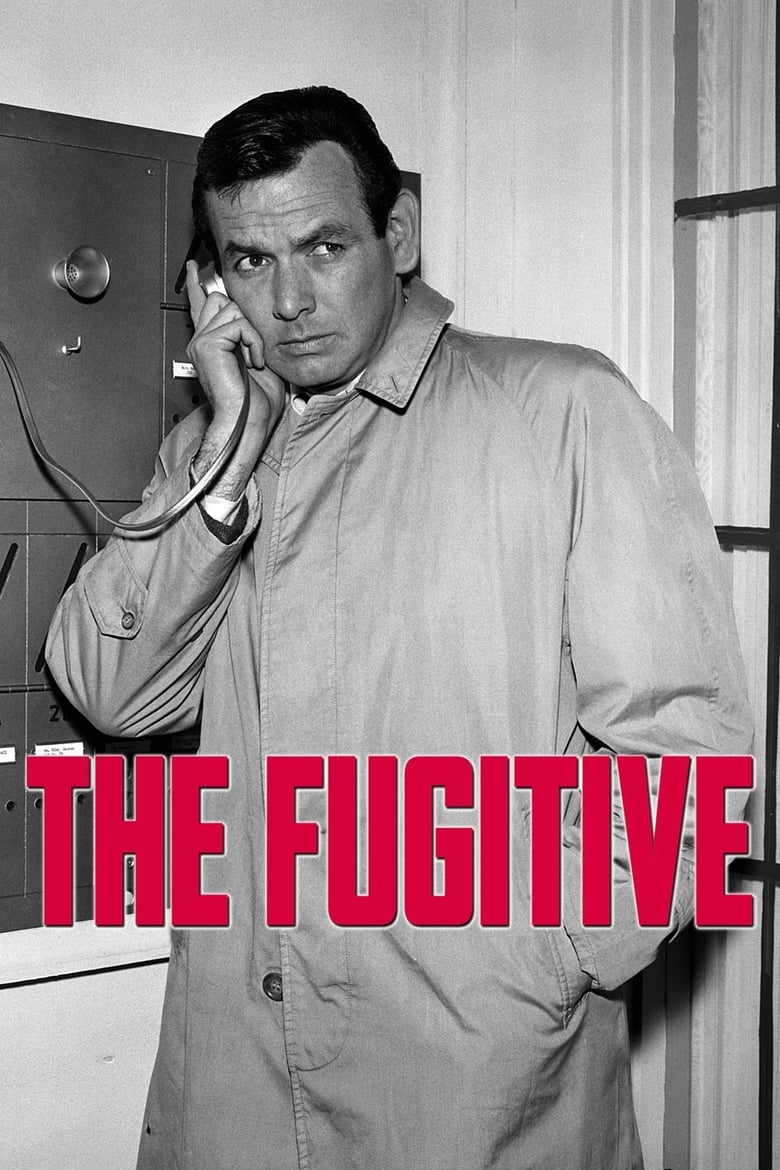 Poster of The Fugitive