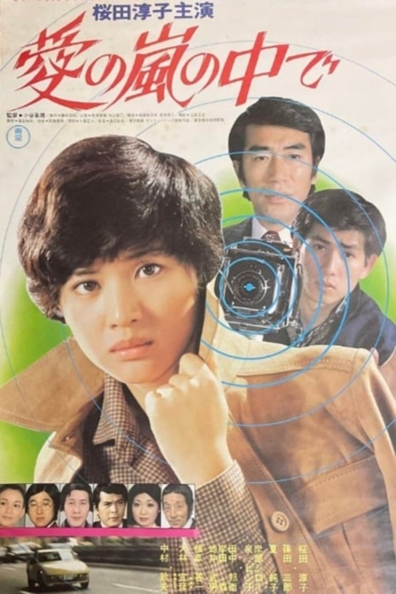 Poster of Inside the Storm of Love